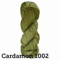 Araucania | Huasco Sock Kettle Dyes | 100g skein