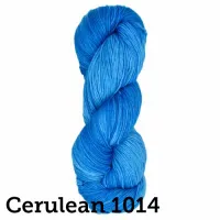 Araucania | Huasco Sock Kettle Dyes | 100g skein